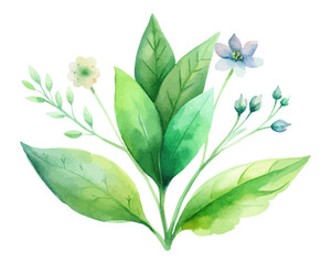Watercolor Green Botanical Leaves with Wildflowers isolated on white background