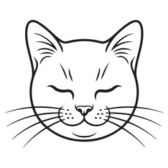 Obraz premium vector illustration of a cat