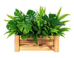 Lush green plants in a wooden planter box (2)