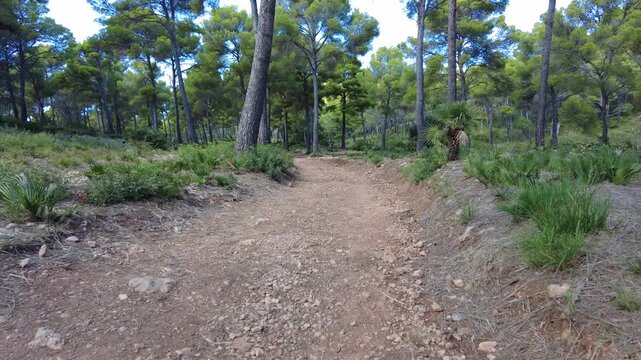 Cala Rajada - Mallorca - Spanien