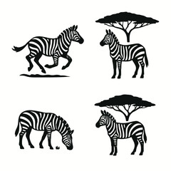 Obraz premium African Zebra Silhouette Vector Set with Acacia Tree Safari Wildlife Collection