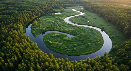Aerial view of a winding river flowing through a lush green forest landscape