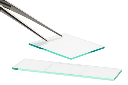 Tweezers holding a glass coverslip over a microscope slide on a transparent background