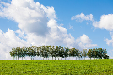 Hokkaido's blue skies and magnificent scenery