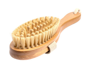 Oval-shaped natural bristle body brush with wooden handle