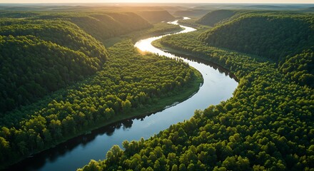 Aerial view of a winding river through lush green forest landscape