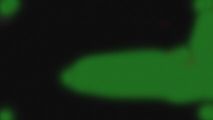 Abstract textured background with organic shapes in dark green and black colors