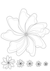 Elegant white flower vector illustration with a subtle floral pattern and leaf design capturing the beauty of spring nature
