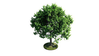 A vibrant, isolated tree with lush green leaves, standing on a circular patch of grass