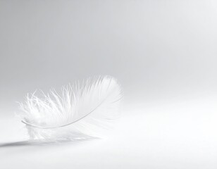 Obraz premium Delicate White Feather Floating on Soft Light Gray Background Minimalist Aesthetic.