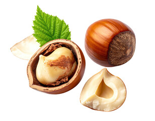 Hazelnuts whole and halved, with green leaf