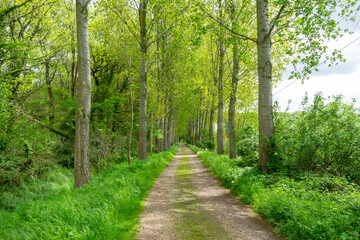 Effelder Waldseepfad, Kreis Heinsberg