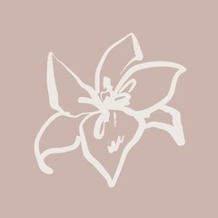 Beige lily line art, Chinese brush design