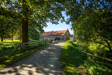 Fototapete bei efototapeten.de bestellen   