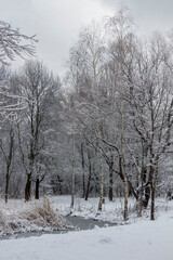 Winter landscape with path or road through forest.