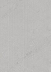Close-up of a smooth, light gray textured surface with subtle natural patterns