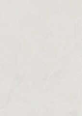 Close-up of a smooth, light gray textured surface with subtle natural patterns