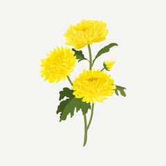 Yellow chrysanthemum clipart, colorful flower collage element