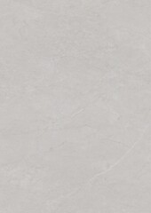 Close-up of a smooth, light gray textured surface with subtle natural patterns