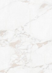 Obraz premium White marble surface with natural veining patterns
