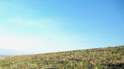 Green grass and blue sky. Beautiful natural flyer, card design. Nature Template for presentation or product