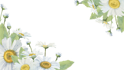 A frame of hand-drawn watercolor illustrations of delicate white daisies. Suitable for labels, invitations, stickers, and business cards.