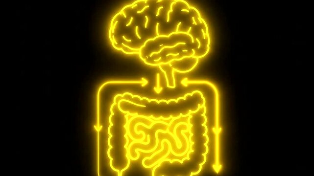 Brain Gut Connection Neon Light Animation Human Body Organs.