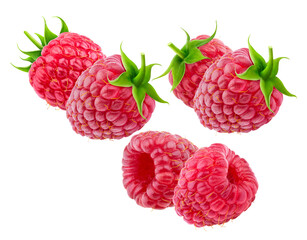 vibrant cluster of fresh red raspberries with green stems