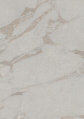 Close-up of white marble with beige veining patterns