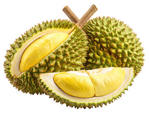 Fresh durian fruit, halved, showing golden flesh