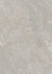 Close-up view of a textured gray surface with subtle natural patterns and veining.