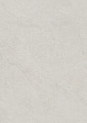 Close-up of a smooth, light gray textured surface with subtle natural patterns