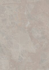 Close-up view of a textured stone surface with natural veining and subtle color variations