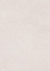 A plain light gray textured surface with subtle variations in tone and faint markings.