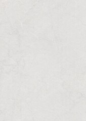 Close-up of a plain light gray textured surface