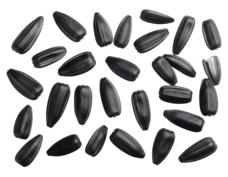 Close-up view of many dark-colored sunflower seeds arranged in a scattered pattern against a black background