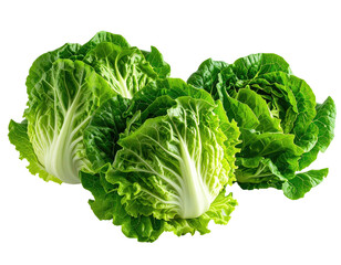 Close-up of fresh, vibrant green bok choy heads