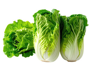 Two fresh, vibrant green bok choy heads, close-up