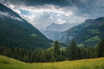 Fototapeta premium Scenic panorama of a vast valley featuring spruce, fir, and ash pines on the hillsides, with a towering peak in the distance beneath a dramatic cloudy sky.