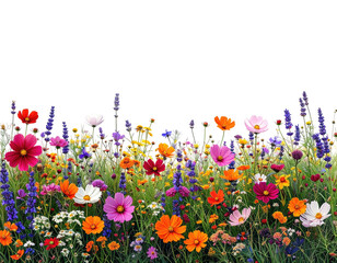 Vibrant meadow of wildflowers in various colors (1)