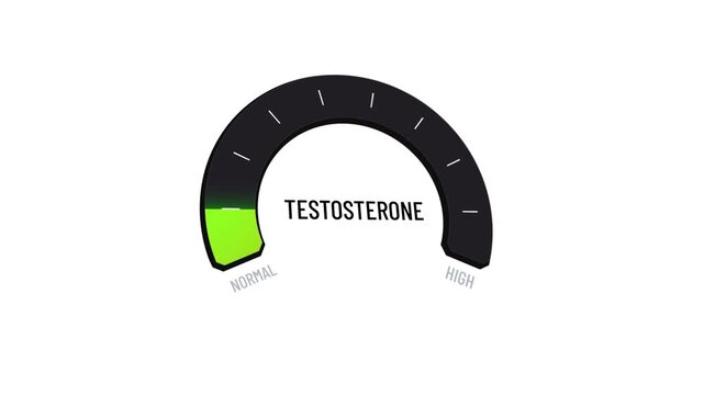Fluctuating testosterone meter, digital gauge, normal to high levels and back, man health problem, low T, hypogonadism male condition indicator presentation, copy space.