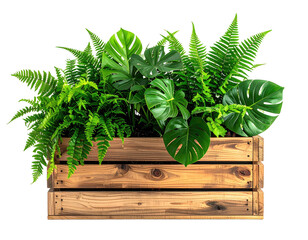 Wooden crate filled with lush green tropical plants