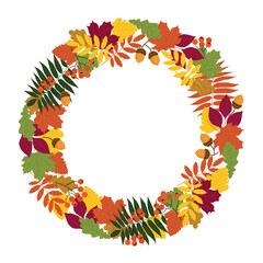 round frame of autumn leaves, rowan berries, and acorns, highlighted on a white background. an autumn frame for text and title design with flat-style plant elements. stock vector illustration. EPS 10.