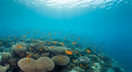 Underwater coral reef teeming with colorful fish in a tropical ocean