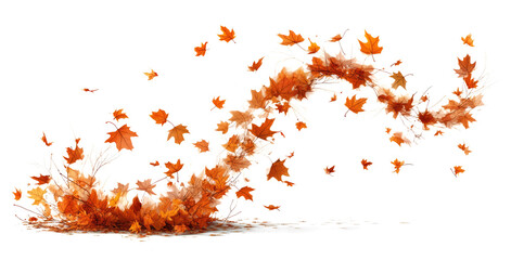  maple leaves flying in the wind against a transparent background,