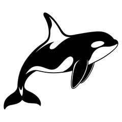 A photorealistic image of an orca, centered in the frame, against a stark white background. The orca is positioned mid-air, arched in a dynamic pose, as if leaping or diving. Its body exhibits the cha