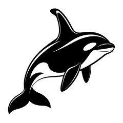 A photorealistic image of an orca, centered in the frame, against a stark white background. The orca is positioned mid-air, arched in a dynamic pose, as if leaping or diving. Its body exhibits the cha
