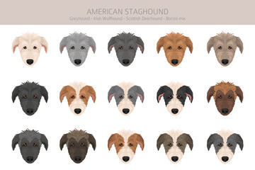 American Staghound clipart. Greyhound, Scottish Deerhound, Irish Wolfhound, Borzoi mix. Different coat colors set.  Vector illustration