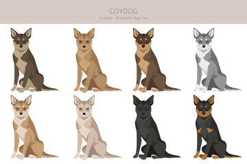Coydog clipart. Coyote - domestic dog mix. Different coat colors set.  Vector illustration