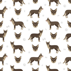 Coydog clipart. Coyote - domestic dog mix. Different coat colors set.  Vector illustration
